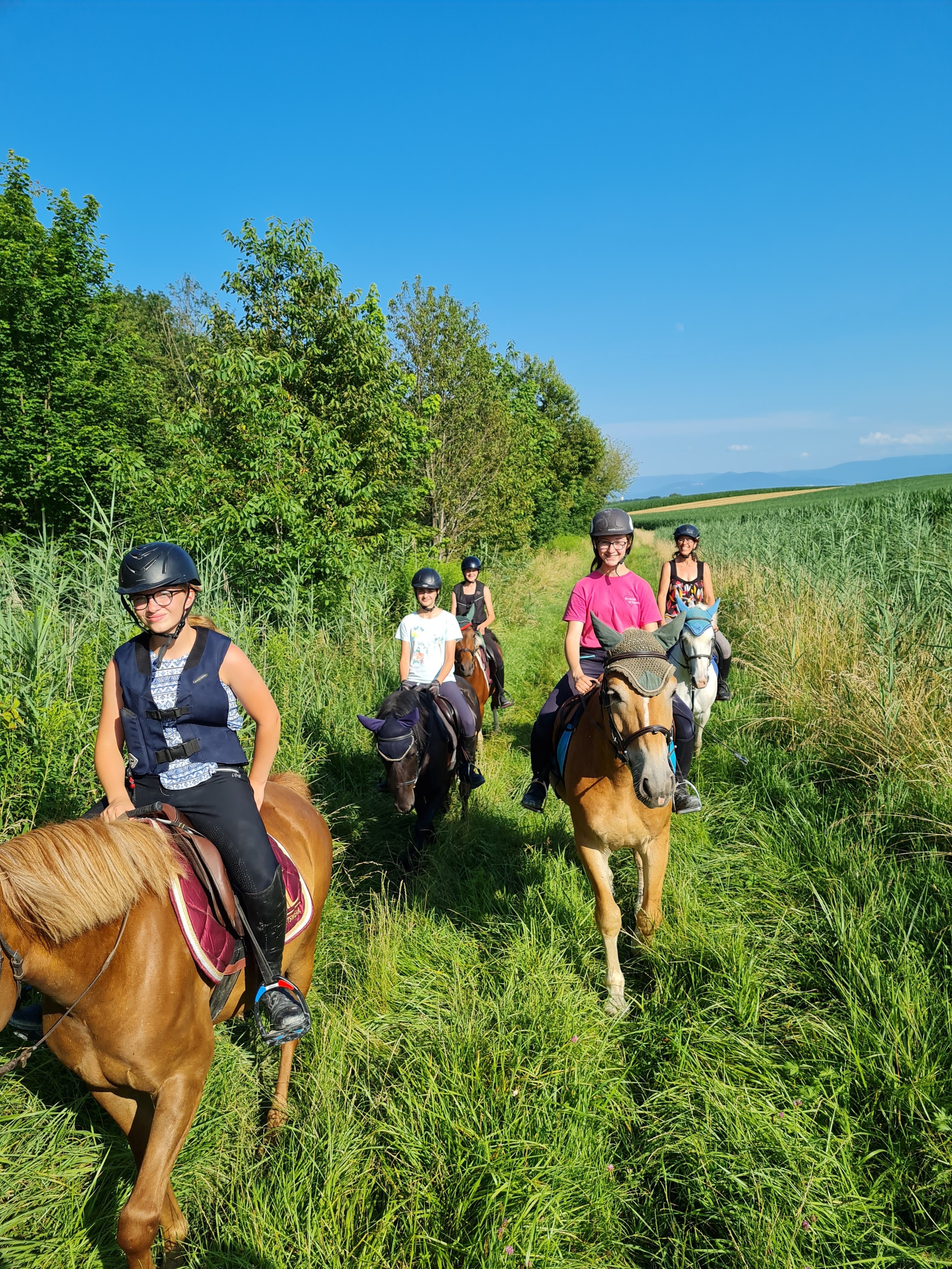 blockValue.b22fe056-ff1b-48c5-859c-932aa5089158.image.2.img_alt